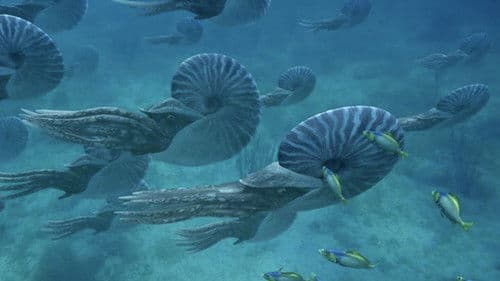 Sea Monsters: A Prehistoric Adventure Bild 7