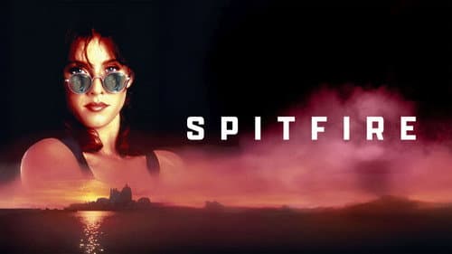 Spitfire Bild 2