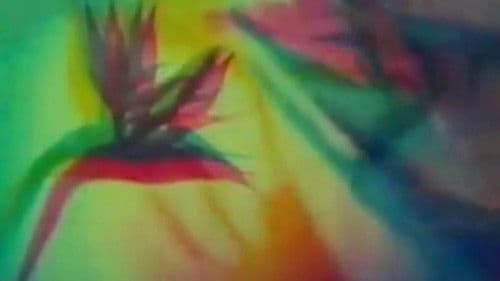 The Psychedelic Experience Bild 1