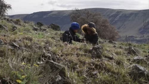 These Sacred Hills Bild 2