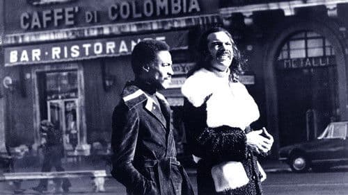 Super Fly T.N.T. Bild 5