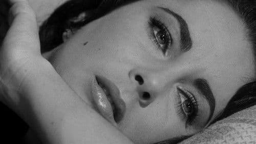 Plötzlich im letzten Sommer Bild 1