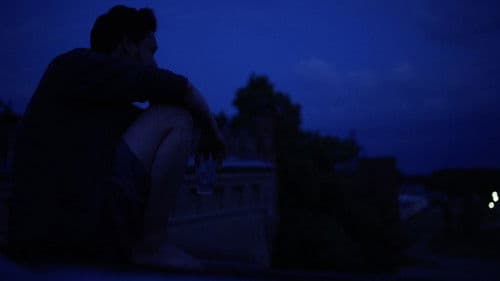 Light Breaks Where No Sun Shines Bild 1