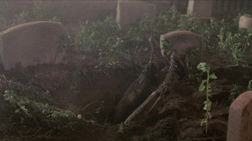 King Kong lebt Bild 6