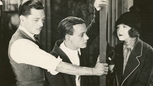 Night Life of New York Bild 1