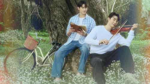 Melody of Secrets Bild 2