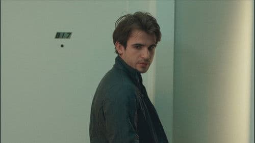 Sideways for Attention Bild 4