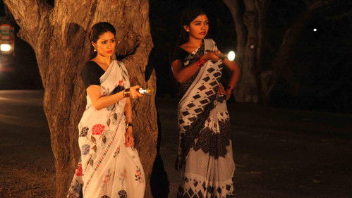 டார்ச்லைட் Bild 1