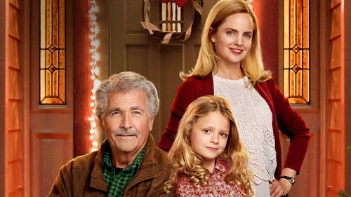 Weihnachten Zuhause Bild 3