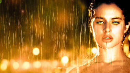 Katzenmenschen Bild 2