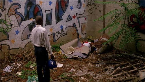 George Washington Bild 8