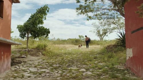 XConfessions 33 Bild 4