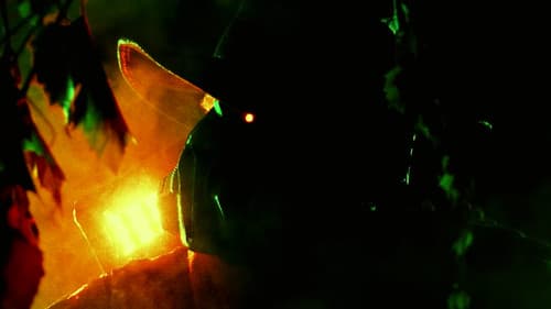 The Phantom Machine Bild 1