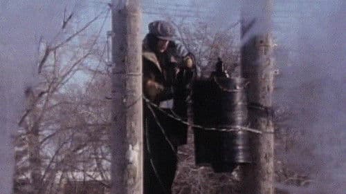 The Great Electrical Revolution Bild 1