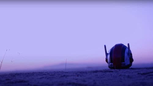 Infernal Swordsman Bild 1