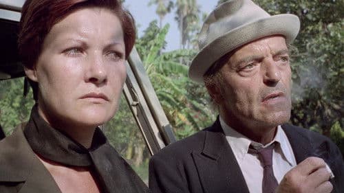 Frauen für Zellenblock 9 Bild 7