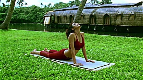 Shilpa's Yoga Bild 3