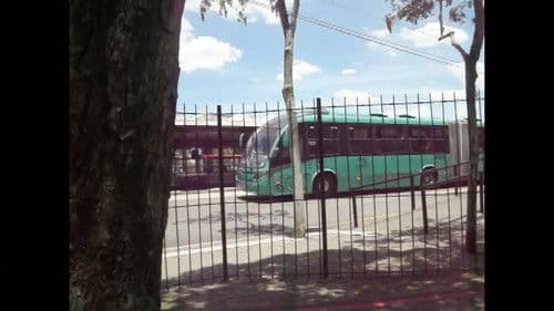 Um Dia Sem Sal Bild 8