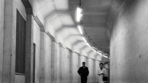 The Face of Another Bild 7