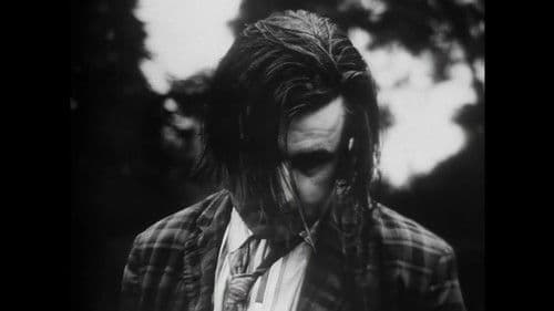 Color Me Shameless Bild 1