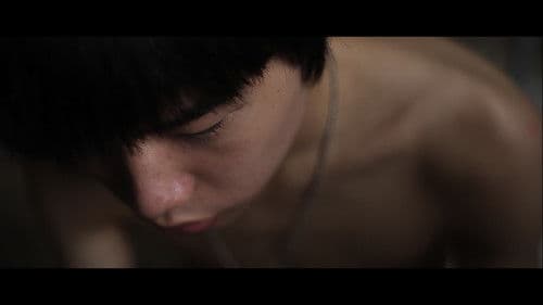 野犬與貓咪 Bild 2