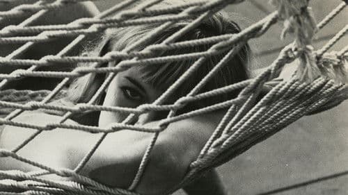 The Babysitter Bild 1