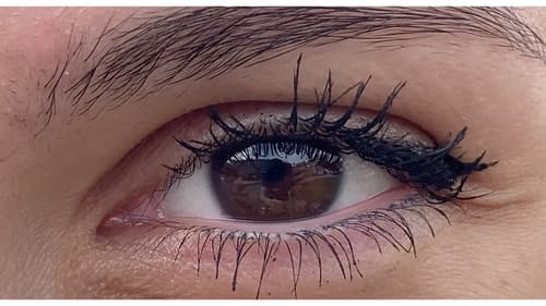 Eye of the Creator Bild 4