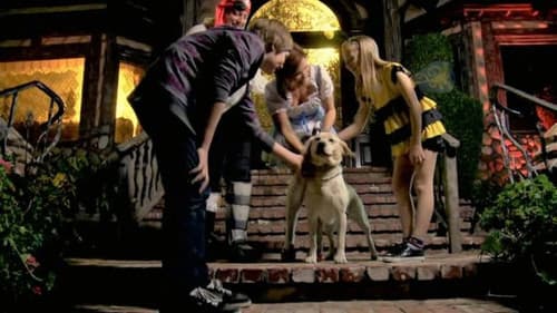 Ein Hund rettet Halloween Bild 3