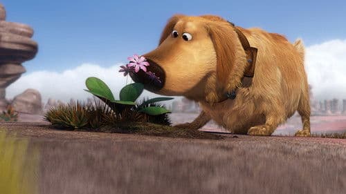 Dug's Sondereinsatz Bild 4