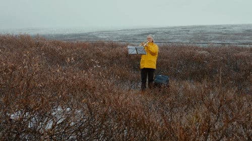 Üben, Üben, Üben Bild 6