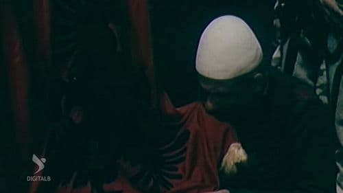 Nëntori i dytë Bild 2