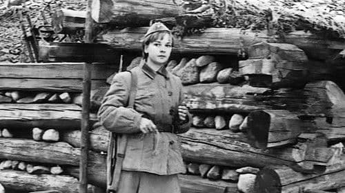 Im Morgengrauen ist es noch still Bild 8