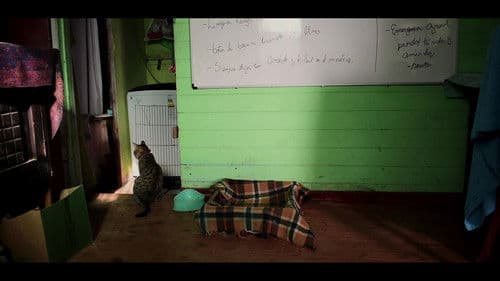 experimento de tiempo y Trufas Bild 1