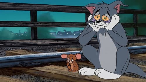 Dreimal armer, schwarzer Kater Bild 5