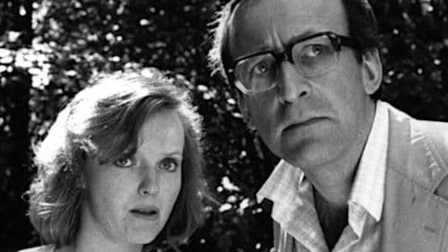 After Pilkington Bild 2