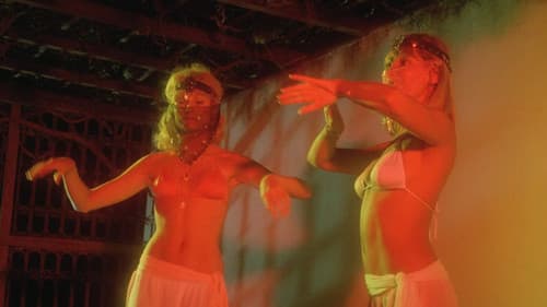 Tire pas sur mon collant Bild 5