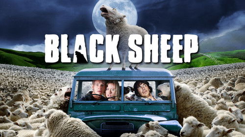Black Sheep Bild 2