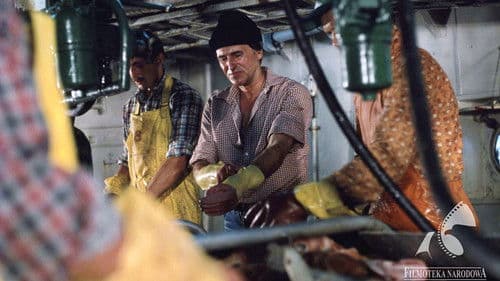 Krab i Joanna Bild 4