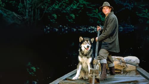 Wolfsblut II - Das Geheimnis des weißen Wolfes Bild 7