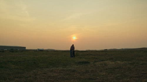 The Summer Field Bild 2