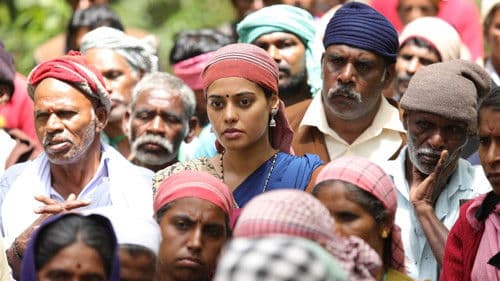 கழுகு 2 Bild 5