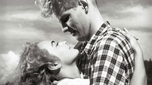 Liebe einer Sommernacht Bild 1