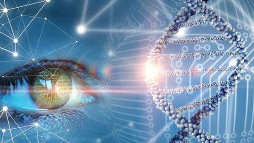 The Gene Code Bild 1