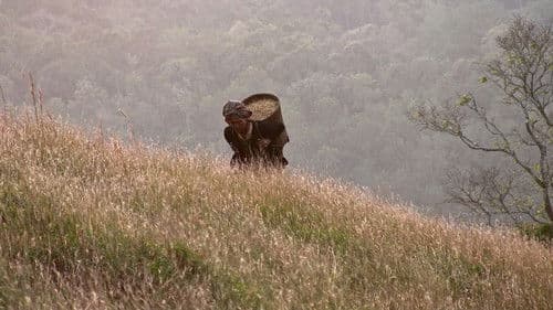 또 바람이 분다 Bild 2