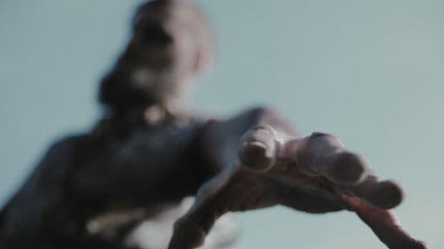 Shadows of Light Bild 7