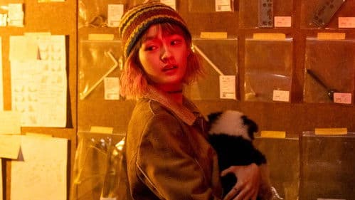 我看见两朵一样的云 Bild 3