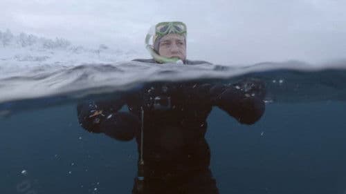 עד הקצה: לשחות עם לוויתן Bild 3