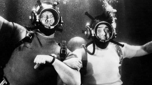 Keiner verläßt das Schiff! Bild 2