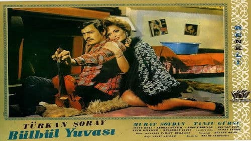 Bülbül Yuvası Bild 2