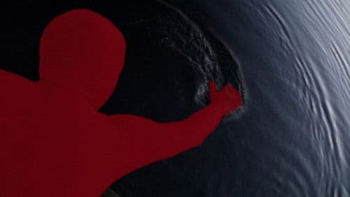 I racconti dell'orso Bild 4